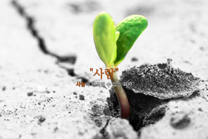 사내뉴스 테스트 게시글